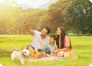 Land For Sale In Meepe – An Idyllic Location To Experience Balanced Living In The Colombo District